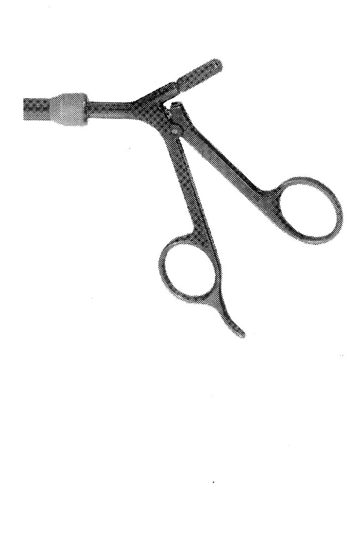 İZOLELİ BİYOPSİ FORSEPS J MODEL SAPLI ÇAP : 5MM L: 36CM